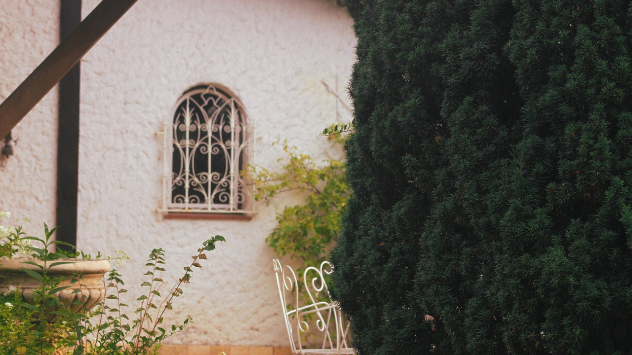 Photo of Outdoor in Montauban