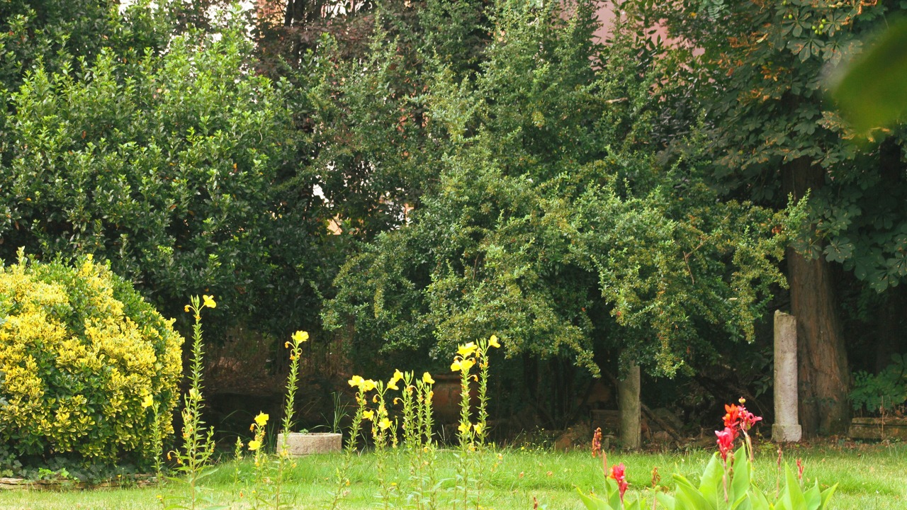 Photo of Outdoor in Montauban