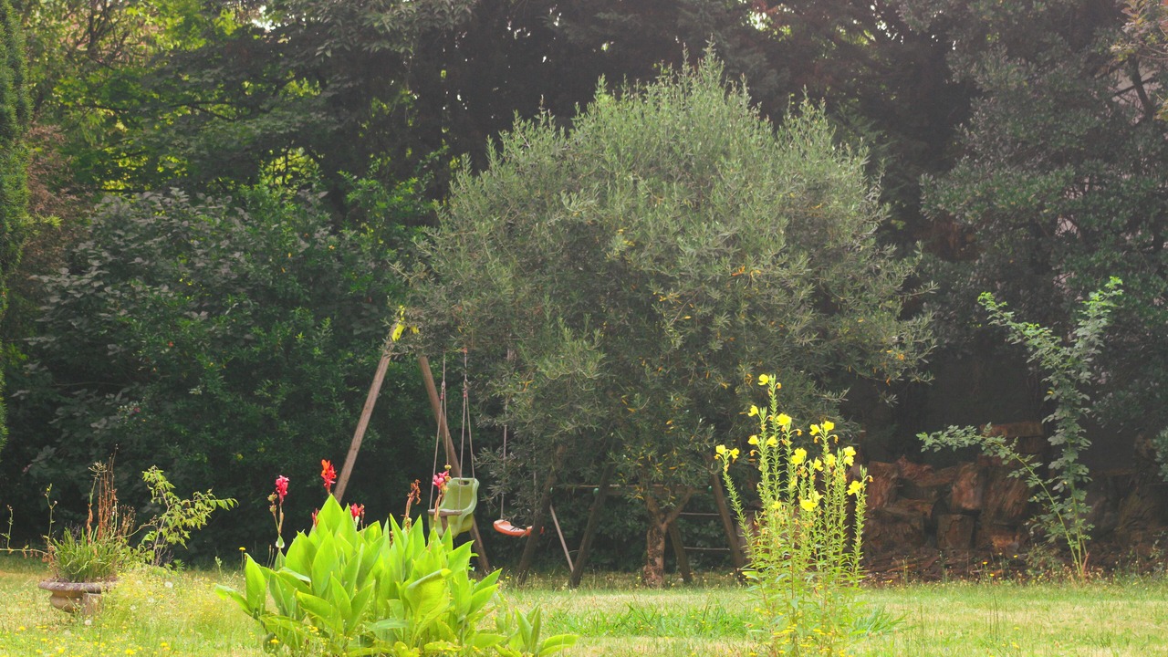 Photo of Outdoor in Montauban