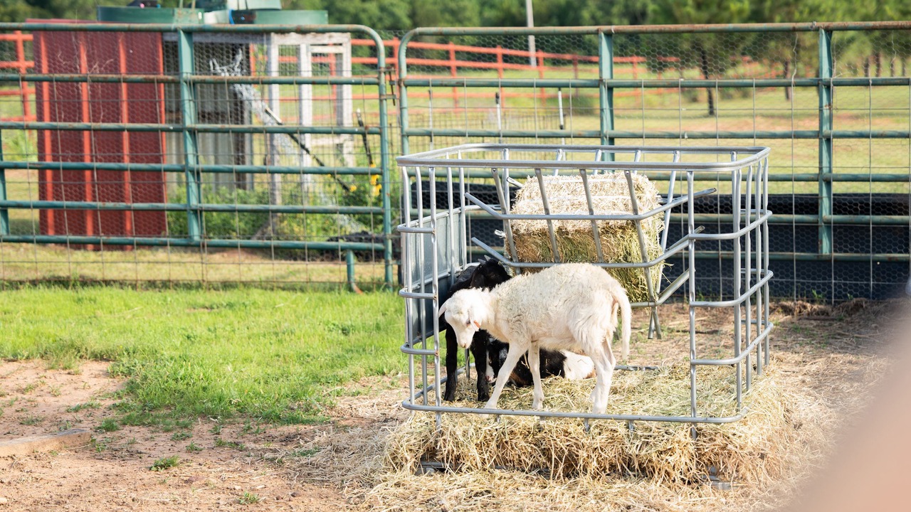 Photo of Others in Pottawatomie County