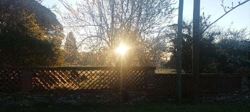 Photo of Outdoor in Verdun-sur-Garonne