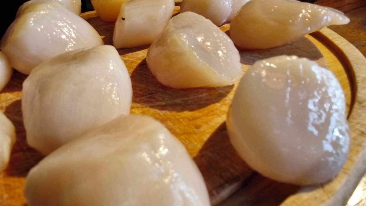 Photo of Others in Verdun-sur-Garonne