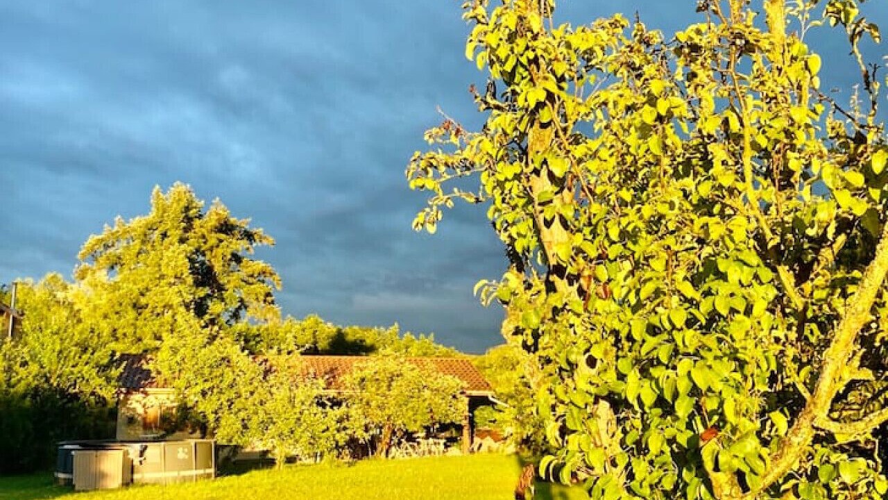 Photo of Others in Saint-Simeon-de-Bressieux