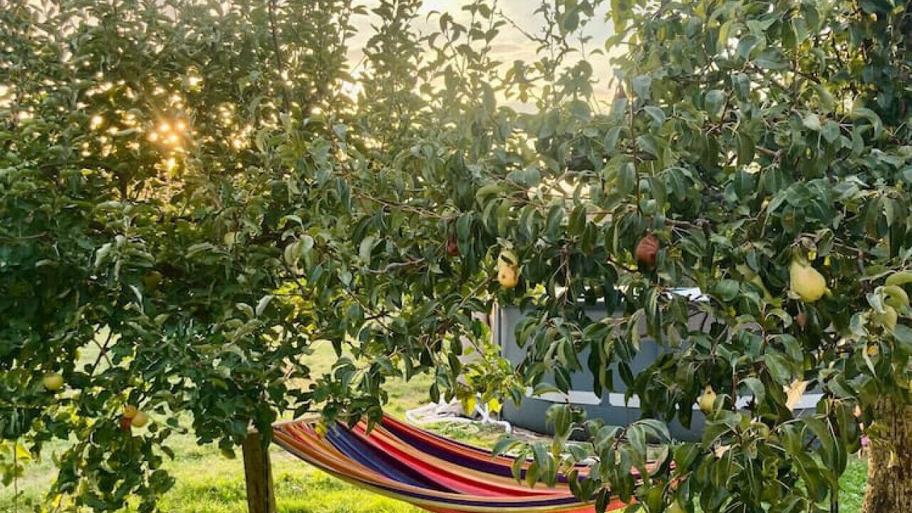 Photo of Others in Saint-Simeon-de-Bressieux