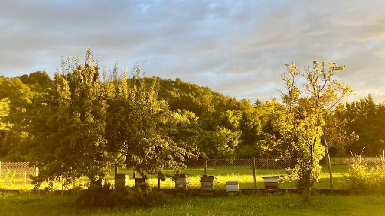 Photo of Others in Saint-Simeon-de-Bressieux