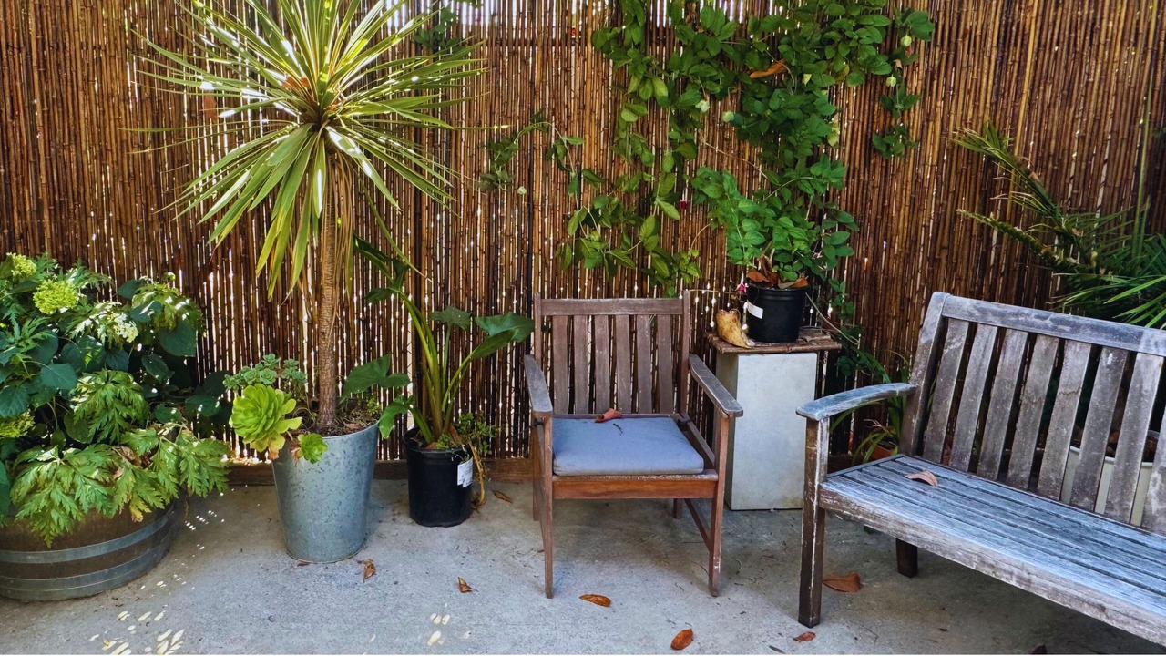 Photo of Outdoor in Oakland