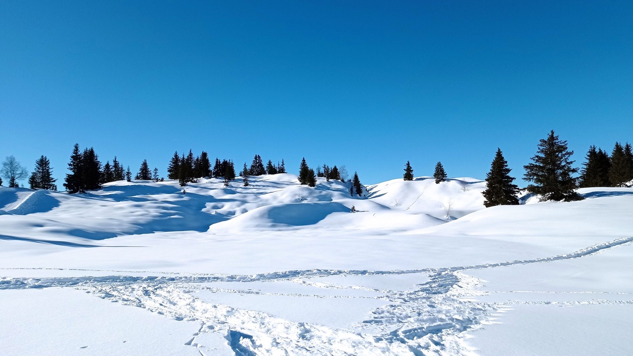 Photo of Others in Chamonix-Mont-Blanc