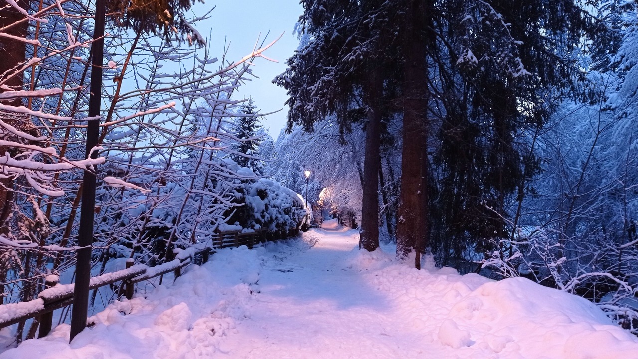 Photo of Others in Chamonix-Mont-Blanc