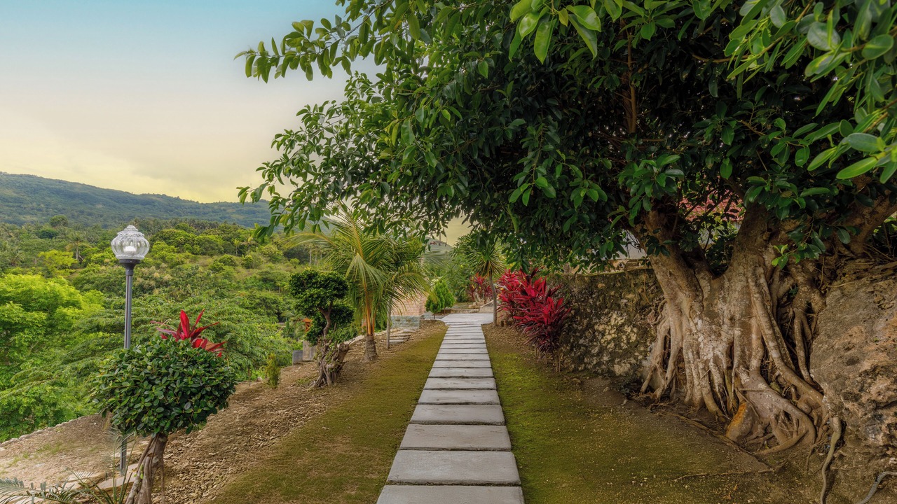 Photo of Outdoor in Penida Island
