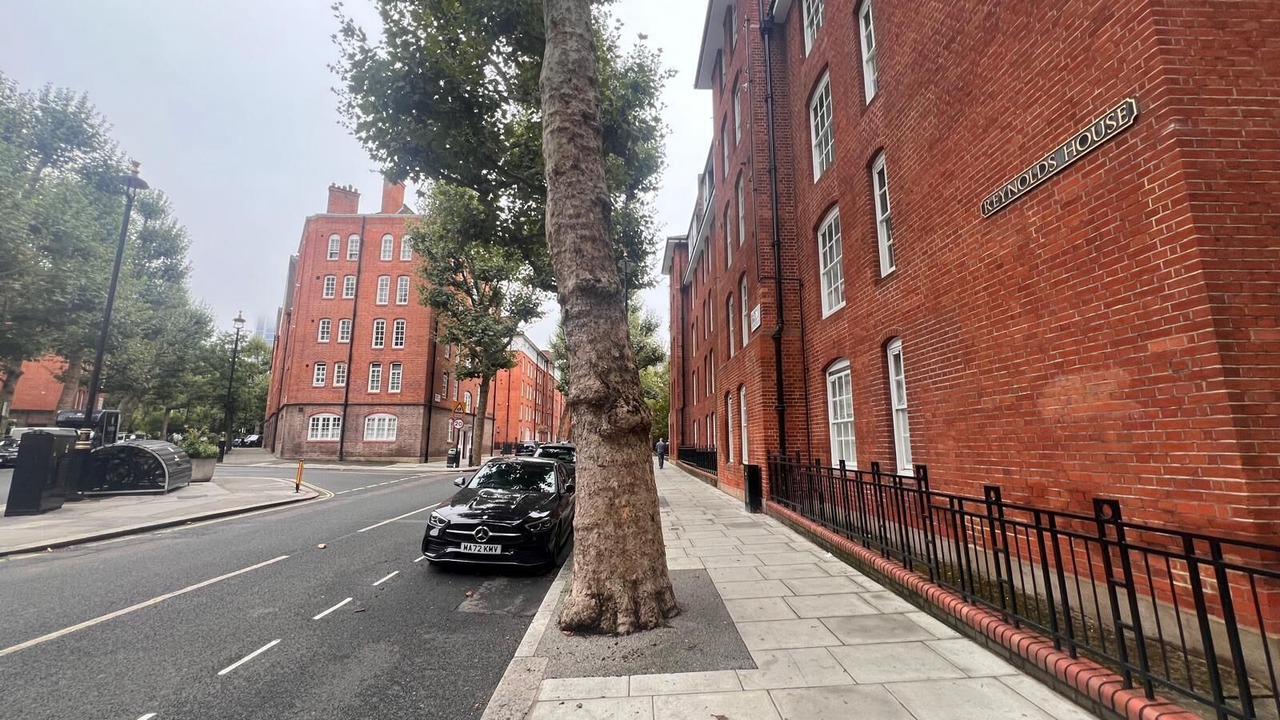 Photo of Others in Vincent Square