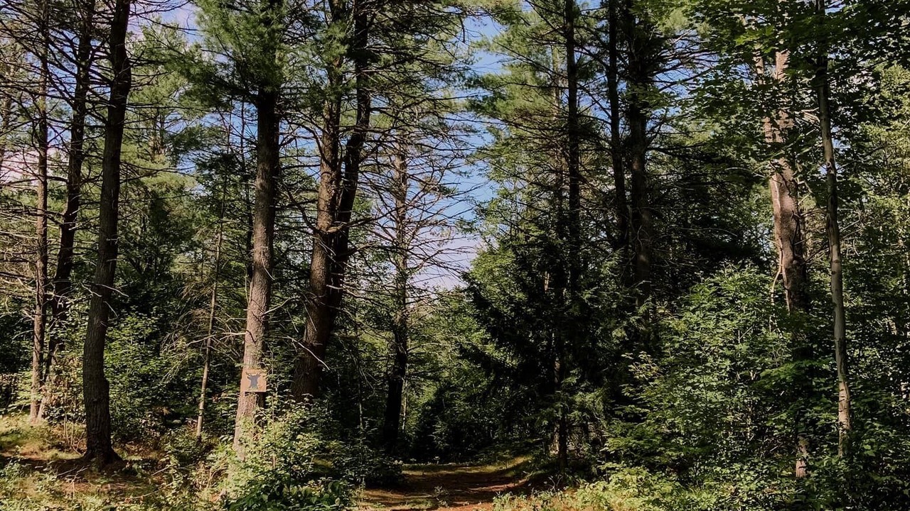 Photo of Outdoor in Bishop Corners