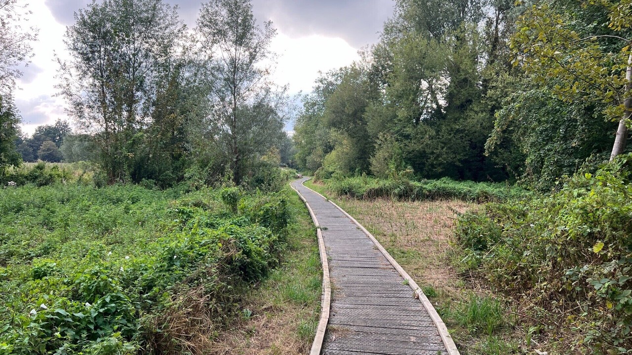 Photo of Outdoor in Ipswich