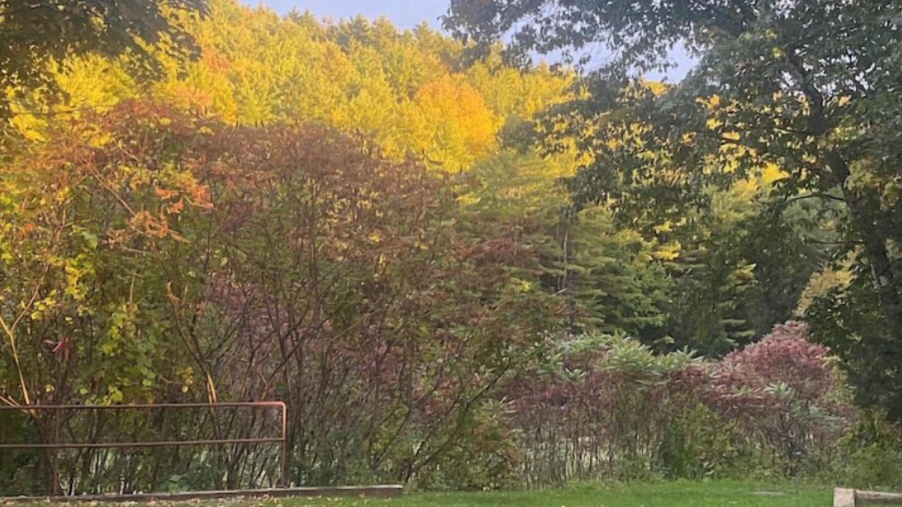 Photo of Others in Drewsville