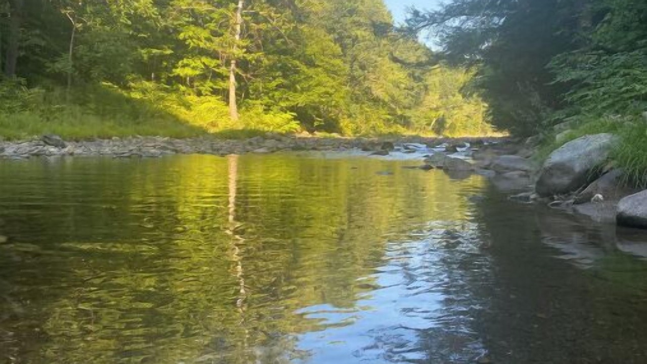 Photo of Others in Drewsville