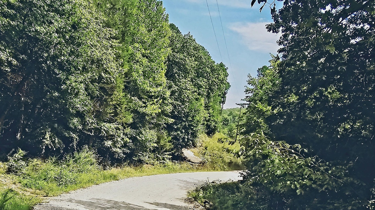 Photo of Others in Eureka Springs