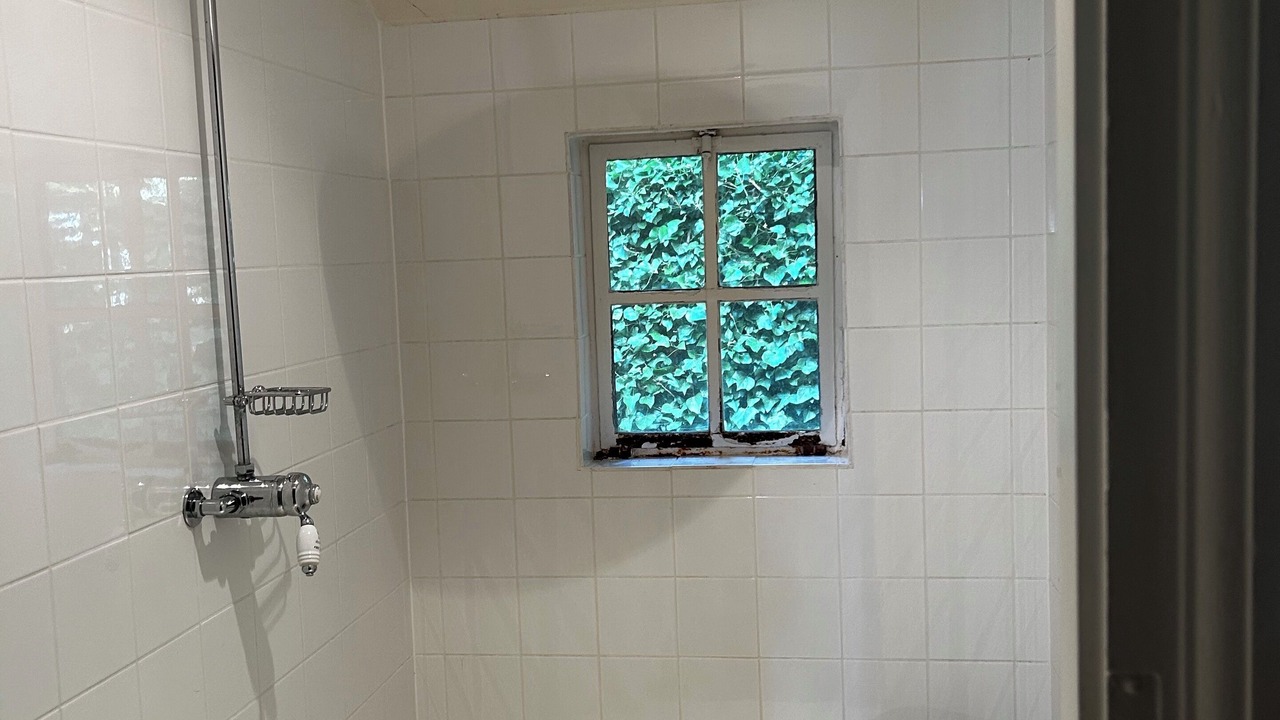 Photo of Others in Pusey