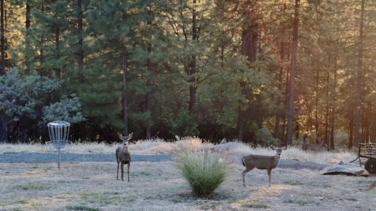Photo of Outdoor in Cedar Ridge