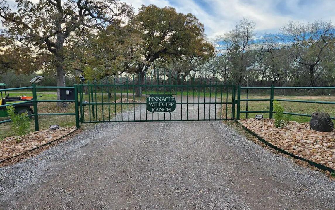 Photo of Others in Seguin
