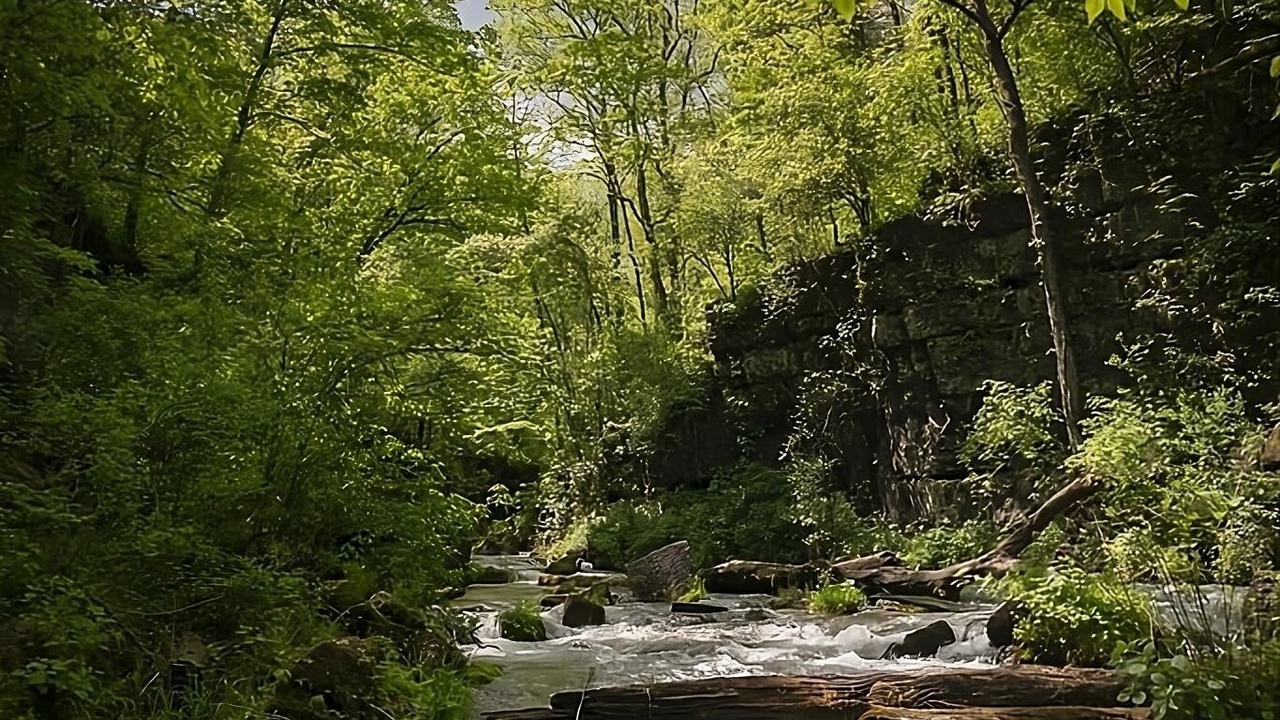 Photo of Outdoor in Teresita
