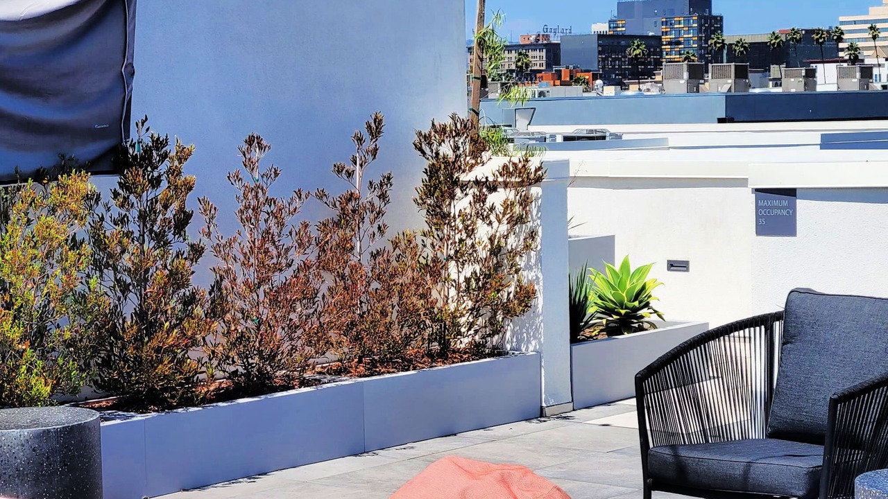 Photo of Outdoor in Pico-Union