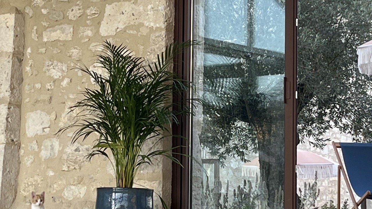 Photo of Outdoor in Saint-Creac