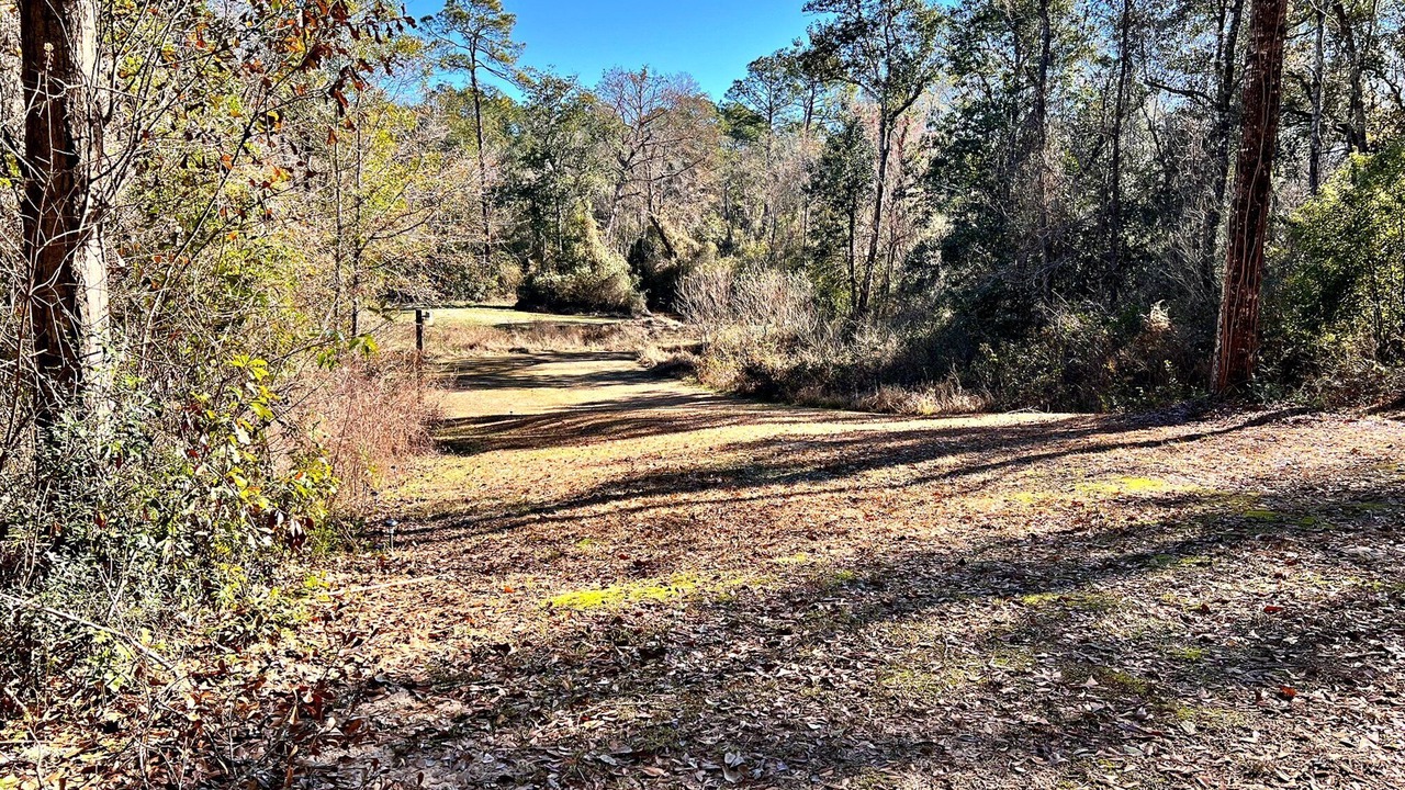 Photo of Outdoor in Daphne