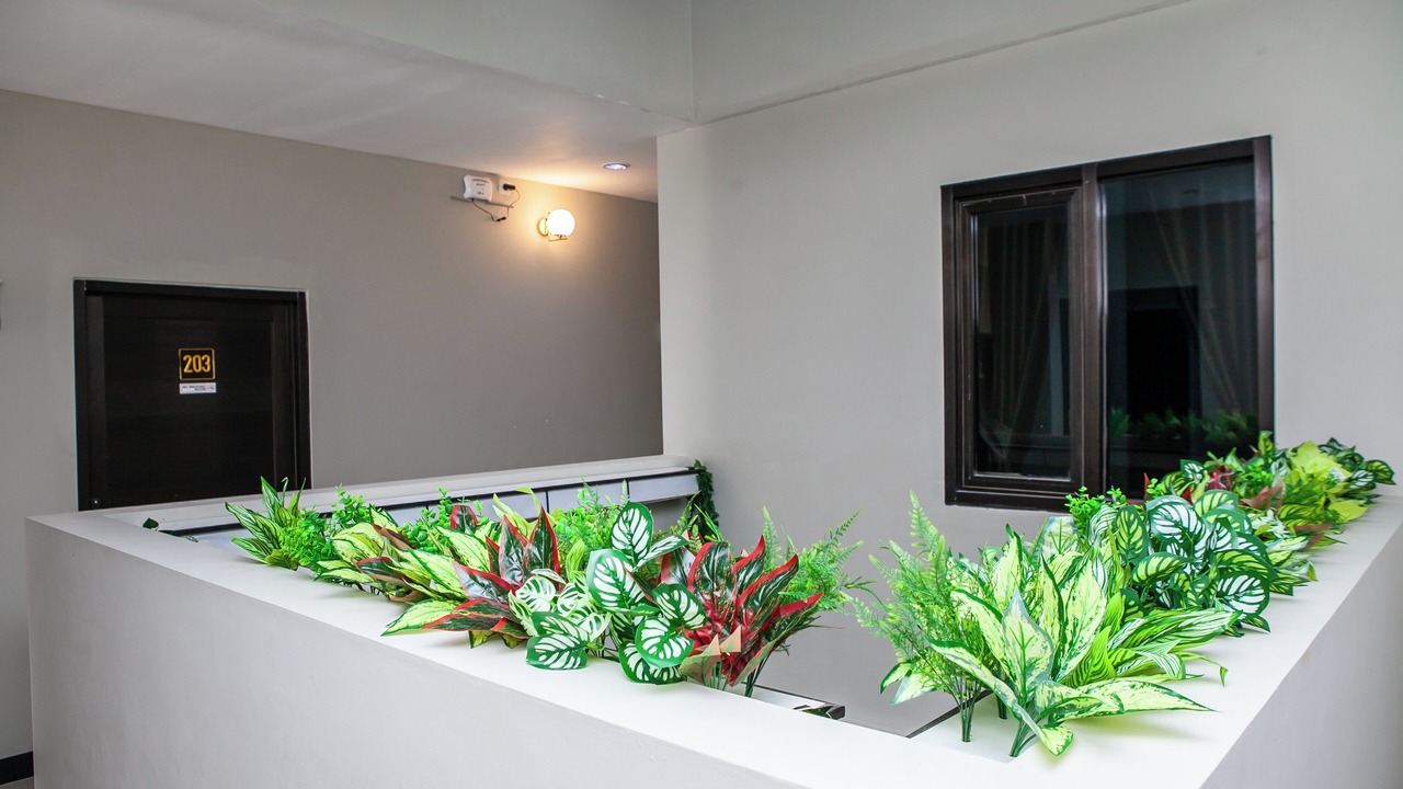 Photo of Others in Parongpong