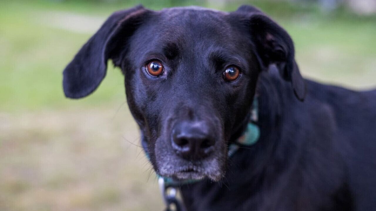 Photo of Others in Ellsworth