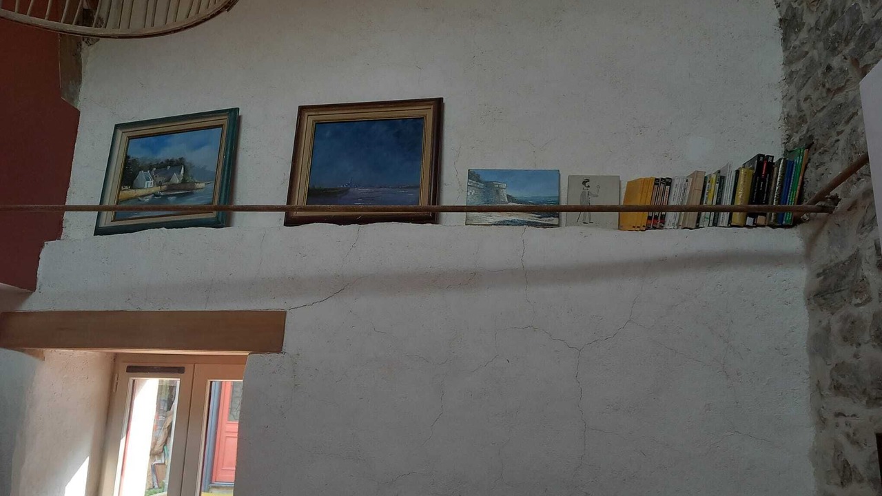 Photo of Others in Ferel