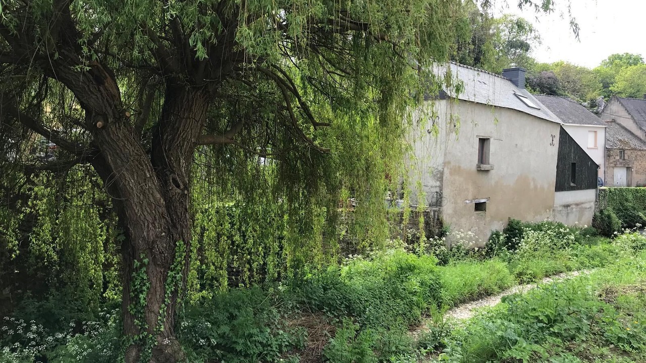 Photo of Outdoor in Ferel