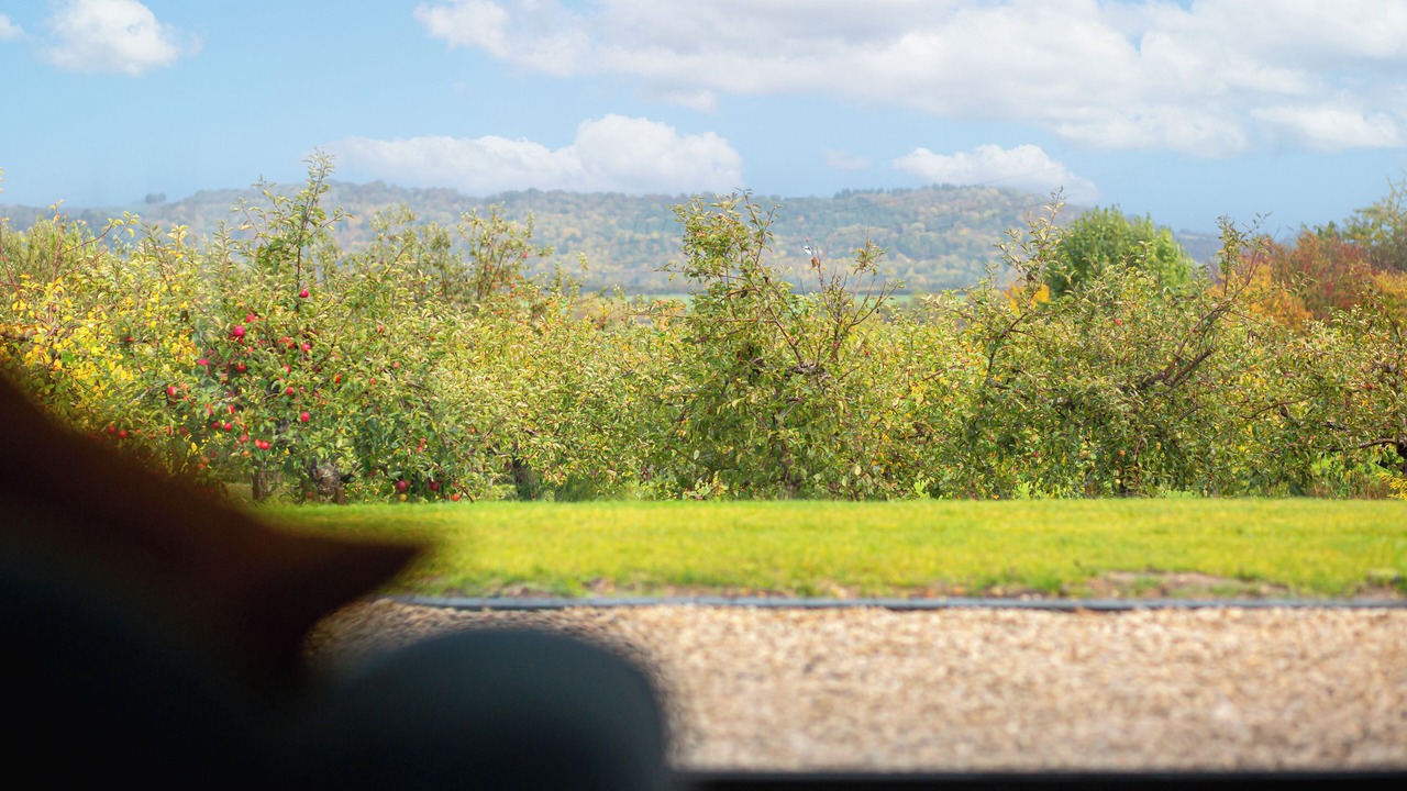 Photo of Outdoor in Pershore