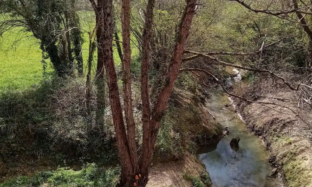 Photo of Outdoor in Orbessan
