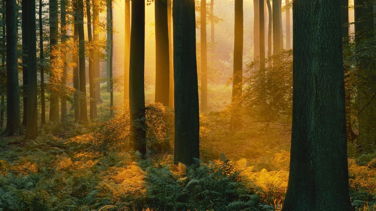 Photo of Outdoor in Beignon