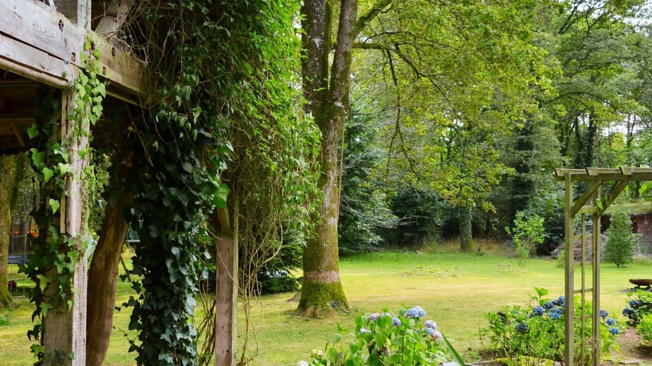 Photo of Outdoor in Beignon