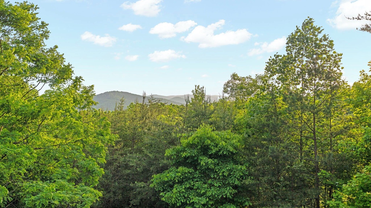 Photo of Outdoor in Blue Ridge