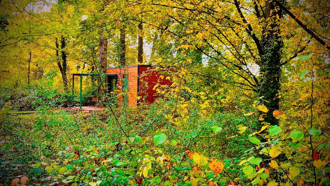 Photo of Outdoor in Vaugrigneuse