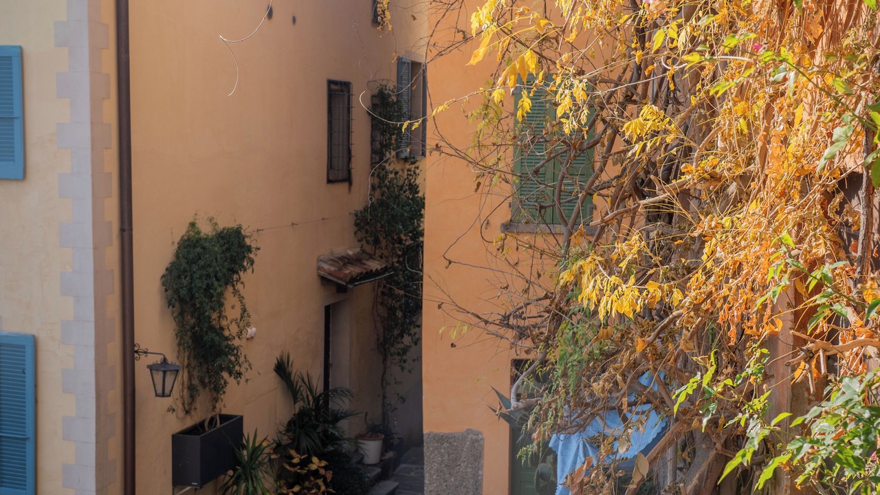 Photo of Outdoor in Castagnola