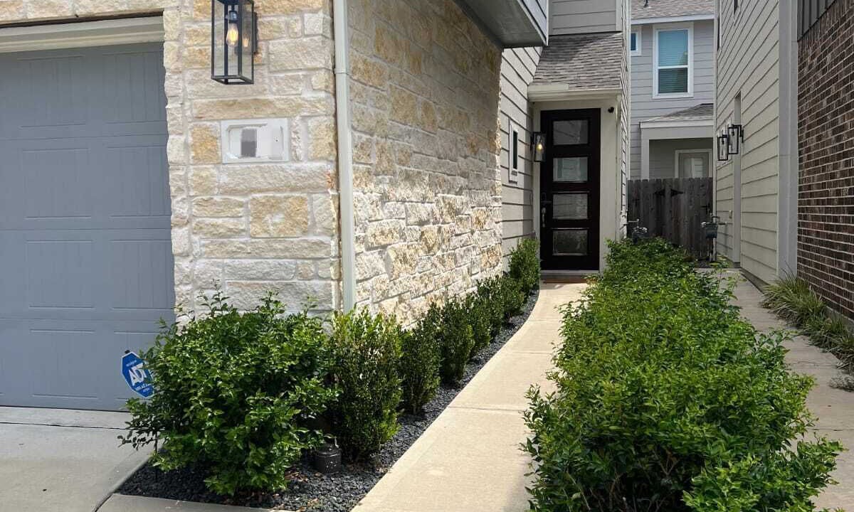 Photo of Outdoor in Spring Shadows