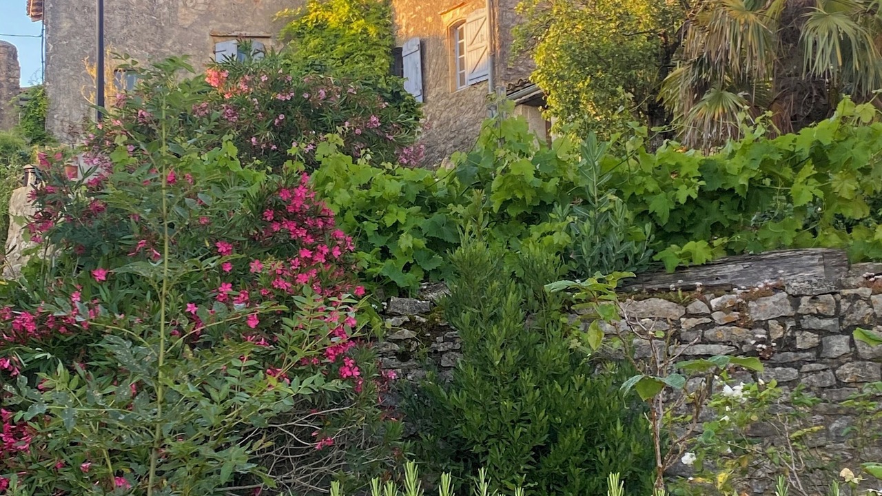 Photo of Outdoor in Puycelci