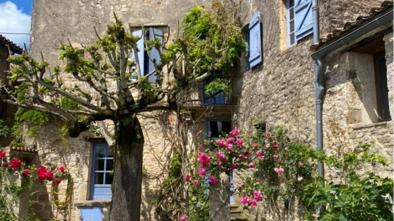 Photo of Outdoor in Puycelci