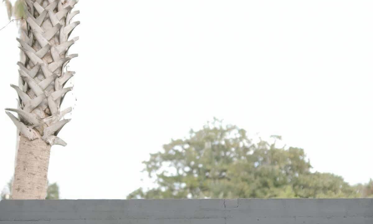 Photo of Outdoor in Neptune Beach