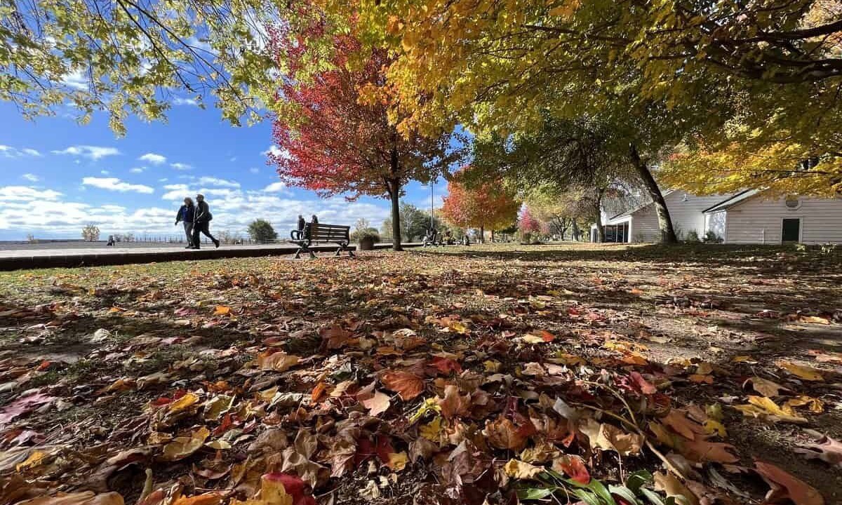 Photo of Others in Woodbine Gardens