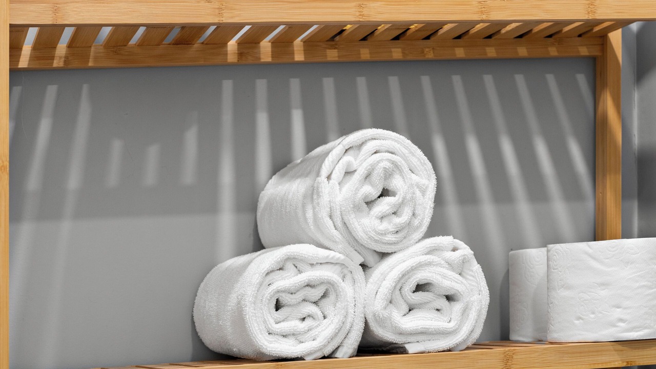 Photo of Others in East Somerville