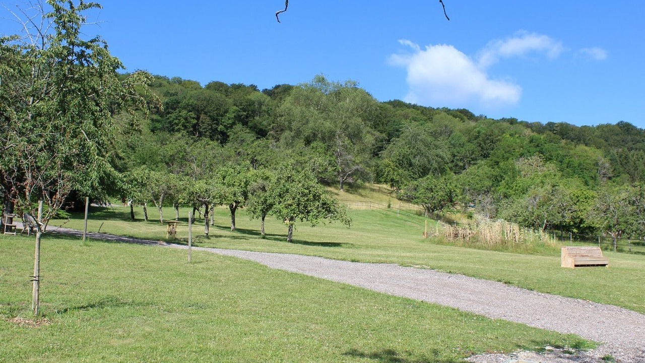 Photo of Others in Mont-le-Vignoble