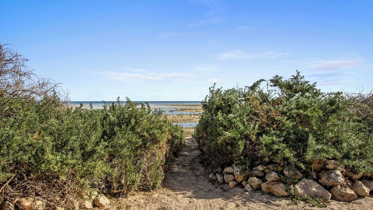 Photo of Outdoor in Minlacowie