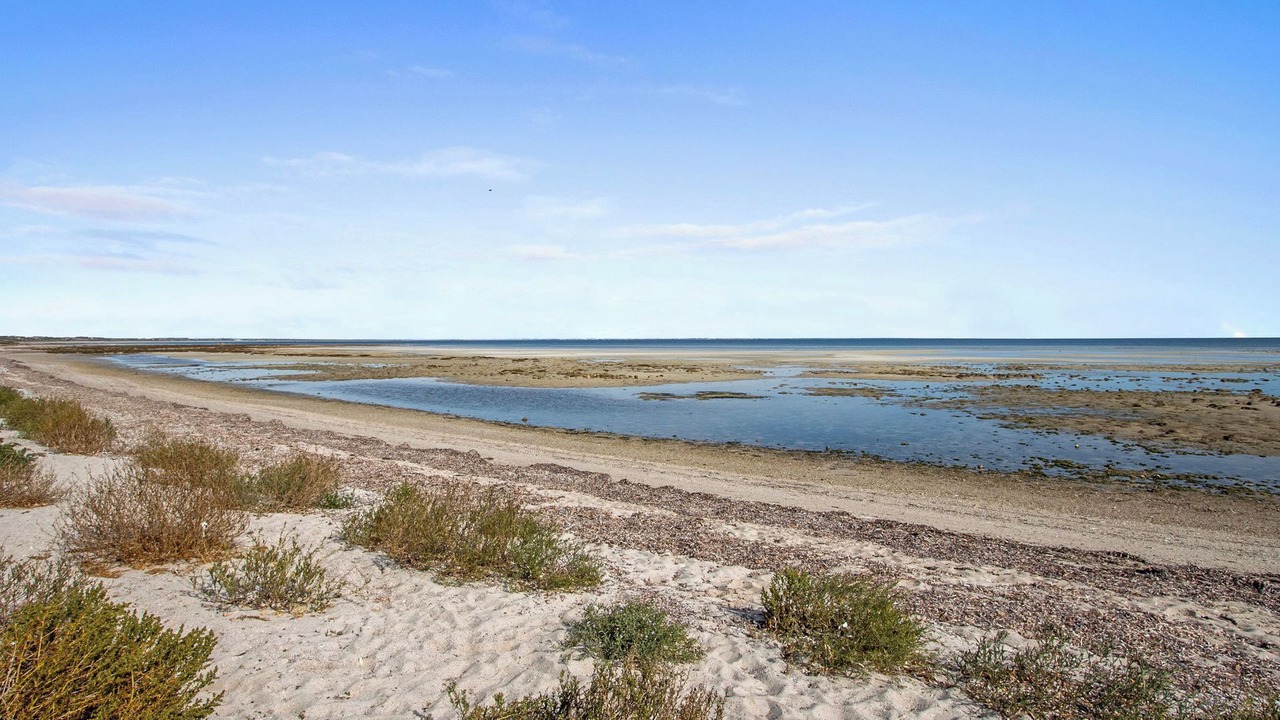 Photo of Others in Minlacowie