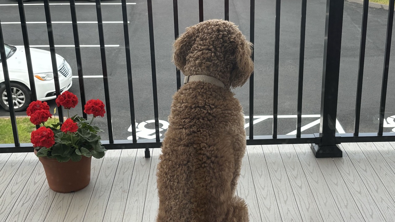 Photo of Outdoor in Berlin