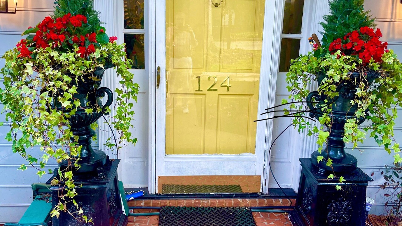Photo of Outdoor in Drayton