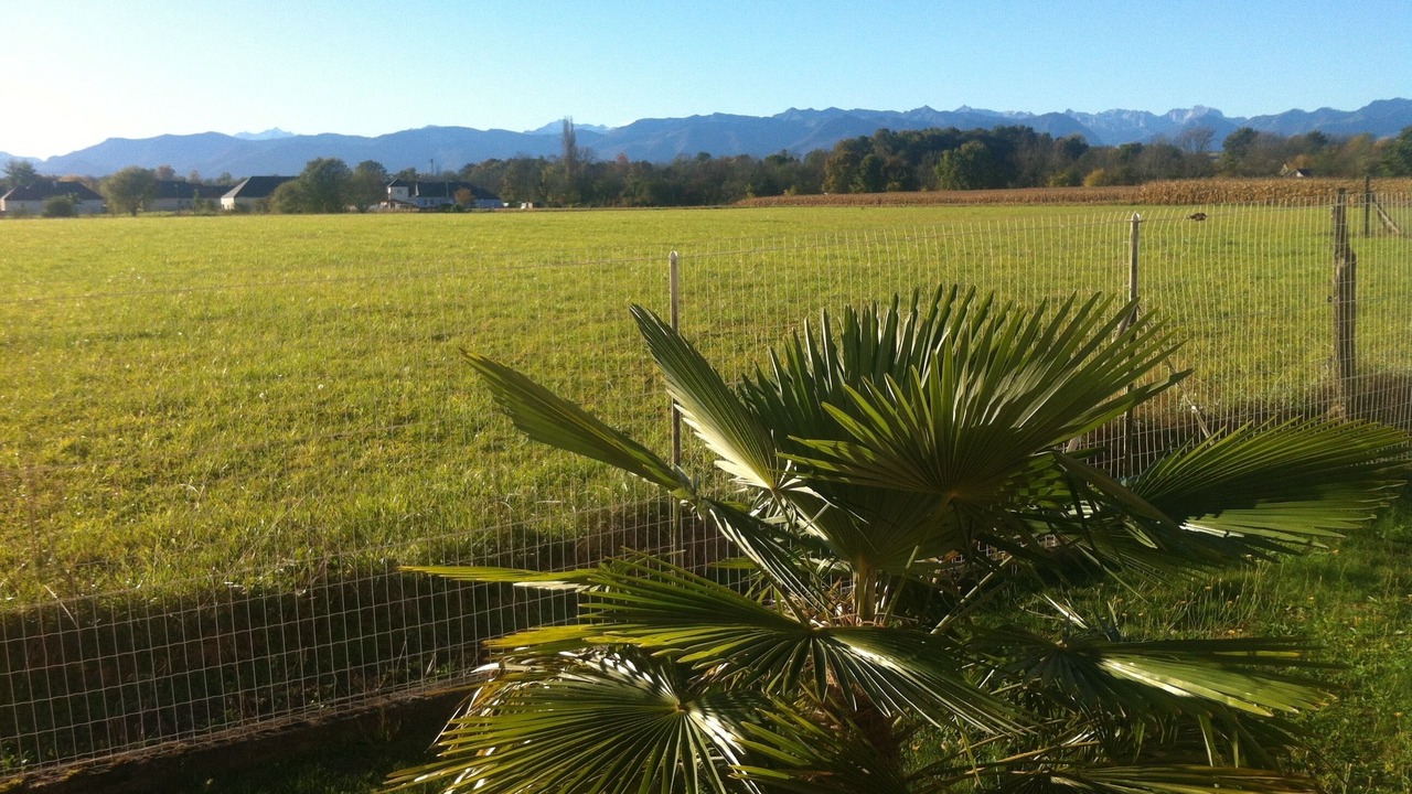 Photo of Outdoor in Barzun
