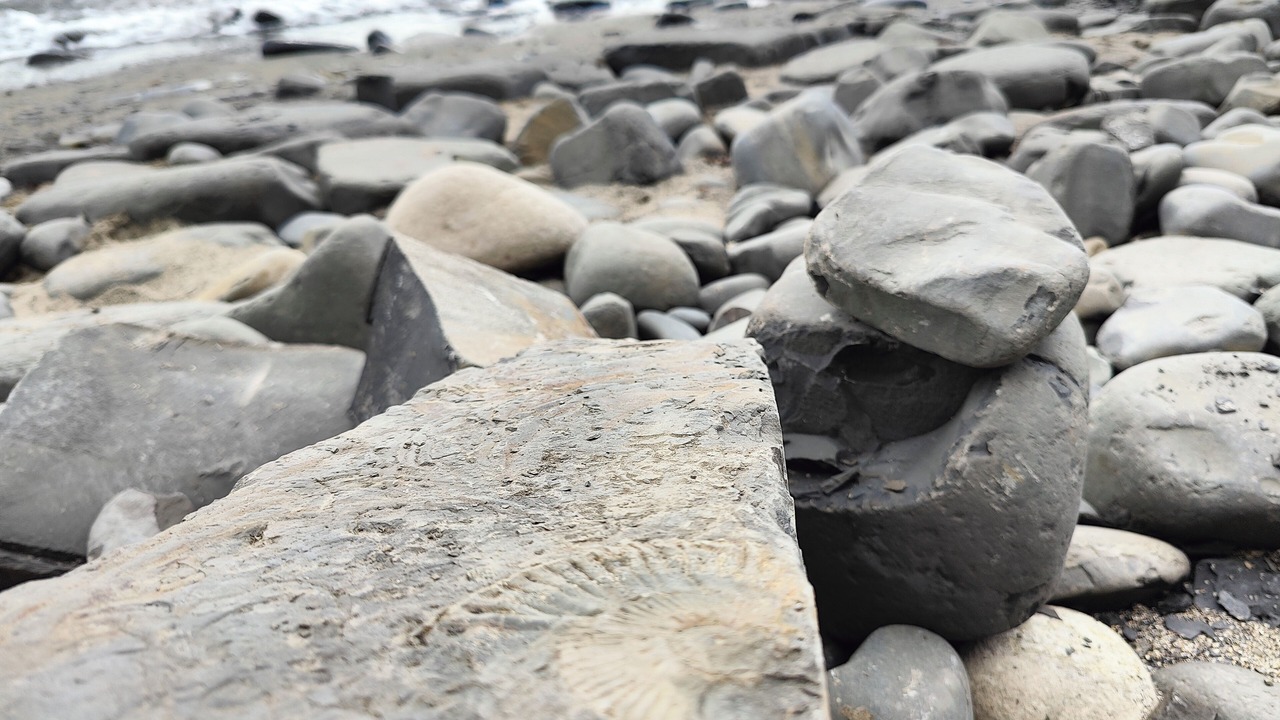 Photo of Others in Bournemouth